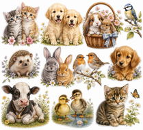 Dieren