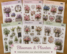Bloemen & Planten