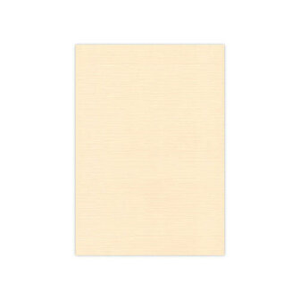 BULK 07 Linnenkarton 13,5x27cm Card Deco Chamois per 125 vellen