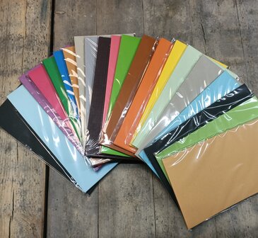 PAK013 - Karton 13x26cm/13.5x27cm - 20 pakjes a 10 vel - Structuur - Assortiment kleuren