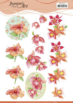 CD11602 3D Cutting Sheet - Jeanine&#039;s Art - Orange Flowers