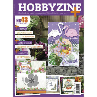 Hobbyzine Plus 43