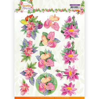 CD11690 3D cutting sheet - Jeanine&#039;s Art - Exotic Flowers - Pink Flowers