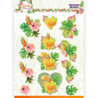 CD11689 3D cutting sheet - Jeanine&#039;s Art - Exotic Flowers - Orange Flowers
