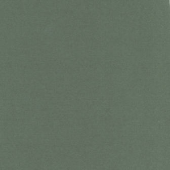 BULK 41 Linnenkarton 13,5x27cm Card Deco Basilicum per 125 vellen