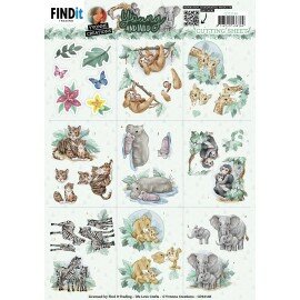 CD12146 Cutting Sheets - Yvonne Creations - Young and Wild - Mini