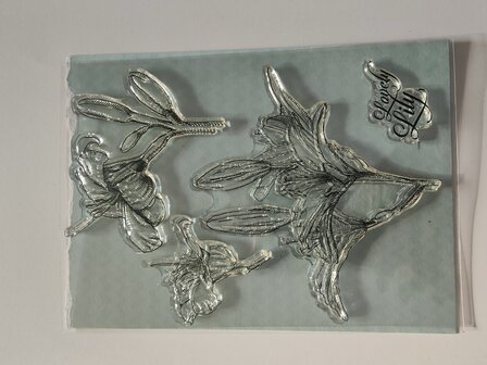 S67 Clear Stamp  (2e kans) 