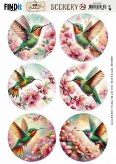 Scenery Push out - Berries Beauties - Lovely Hummingbirds - Round