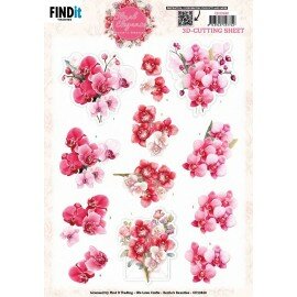 CD12420 3D Cutting Sheet - Berries Beauties - Floral Elegance - Orchid Grace