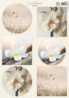 VK9624 Marianne Design - Knipvellen - Condoleance - Orchid A4