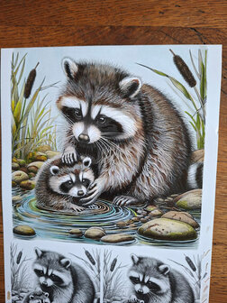 003 Fairybells Coloring Pages kleurplaten Set 3 A4 voor potloden en alcohol markers