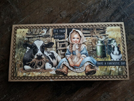 019 Fairybells 3-D setje Boerderij