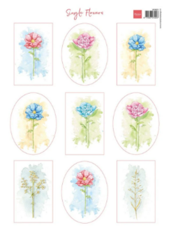VK9621 Marianne D Knipvel A4 Single Flowers