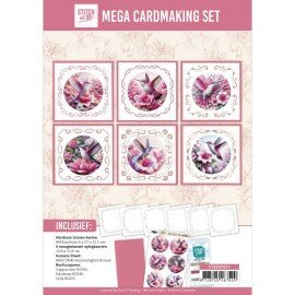 STDOSP001 Stitch and Do Special set 1 - Hummingbird Fantasy - MEGA PAKKET