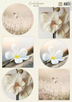 Marianne Design Knipvel Condoleance - Orchid A4