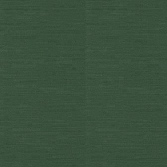 23 Card Deco Linnen 135x270mm 10 vel Kerstgroen 240grm 