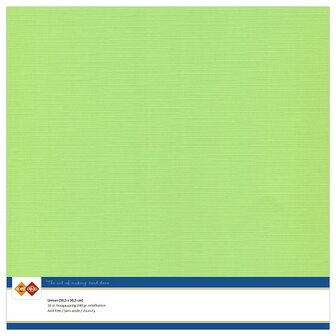 21  Card Deco Linnenkarton - 30,5 x 30,5  Meigroen  10 vel
