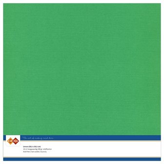 22  Card Deco Linnenkarton - 30,5 x 30,5  Groen  10 vel