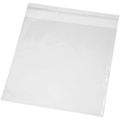 Zakjes 160x160mm + klep met kleefstrip opp 30 micron 100 stuks