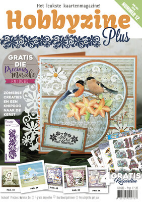 Hobbyzine Plus 12 met gratis goody