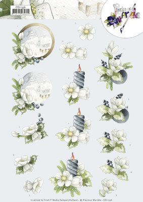 CD11356 3D Cutting Sheet - Precious Marieke - Amaryllis and Blueberries