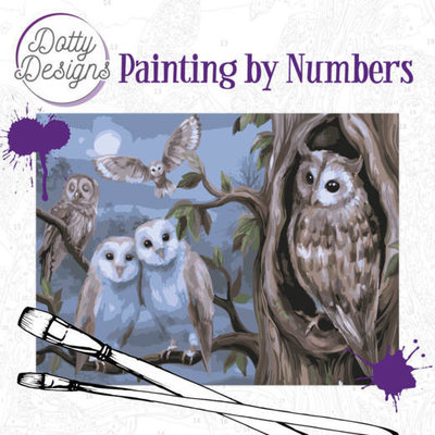DDP1011 Dotty Design Painting by Numbers - Amazing Owls