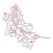 CO727401 Couture Creations Lilacs Mini Stamp 50x50mm