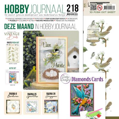 SETHJ218 Hobbyjournaal SET 218