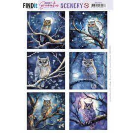 BBSC10014 Push-Out Scenery - Berries Beauties - Owl Square
