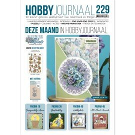 HJ229 Hobbyjournaal 229