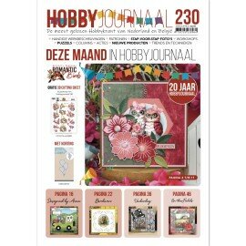 HJ230 Hobbyjournaal 230