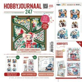 SET Hobbyjournaal 247