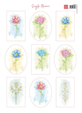 VK9621 Marianne D Knipvel A4 Single Flowers