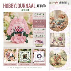 HJ254 Hobbyjournaal 254