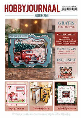 HJ256 Hobbyjournaal 256