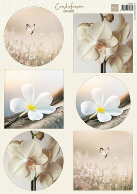 Marianne Design Knipvel Condoleance - Orchid A4