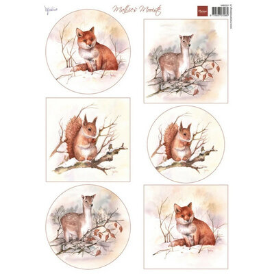 Mattie's mooiste - Forest animals