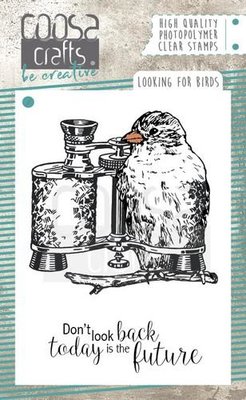 COOSA Crafts clearstamps A7 - Looking for Birds COC-051