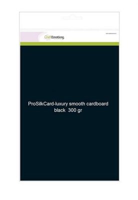 CraftEmotions ProSilkCard - luxe glad karton zwart 10 vl A4 - 300 gr